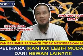 Kakek Ditangkap Pelihara Ikan Koi